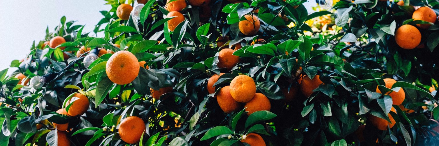 ZeroEsUno.Theory banner