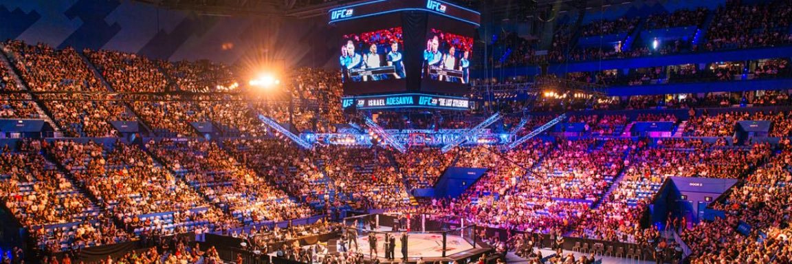 Octagon Analytics banner