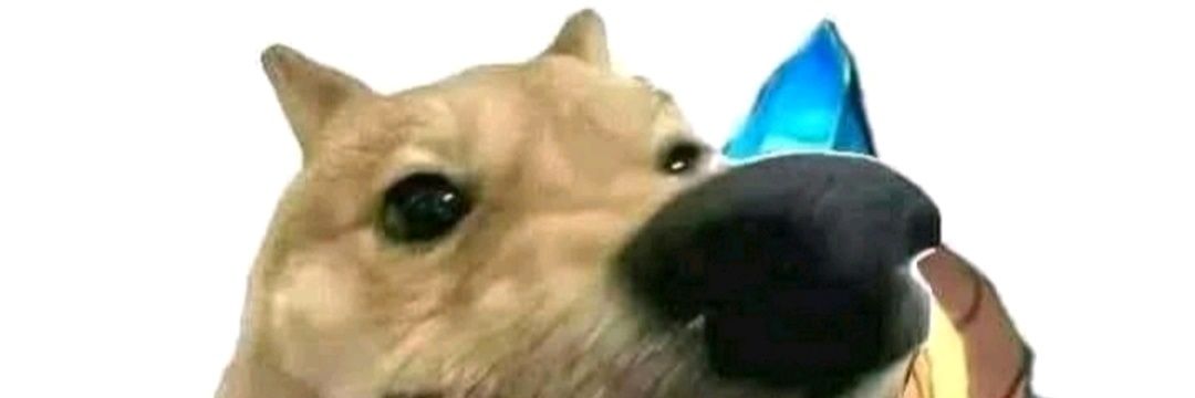 Bé Động Dục banner