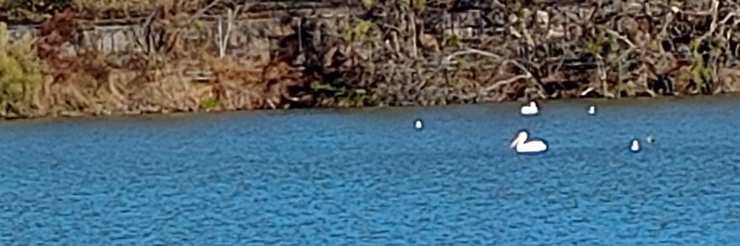 Love your brother as yourself banner