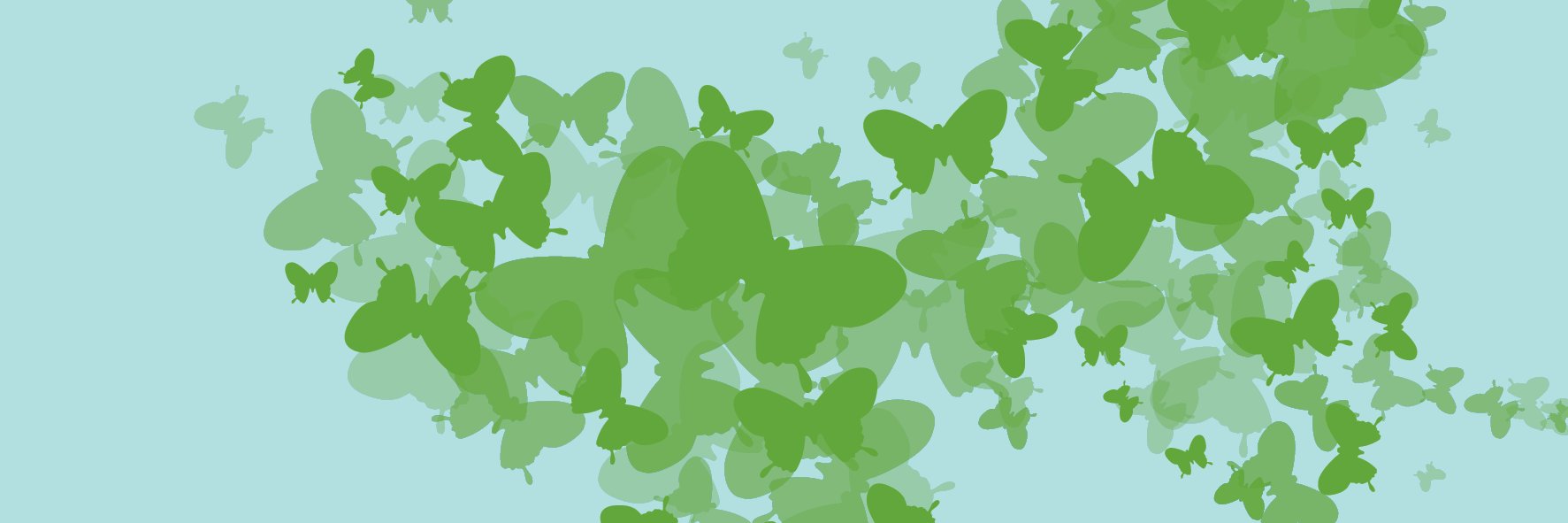 vschmidt17's profile banner image