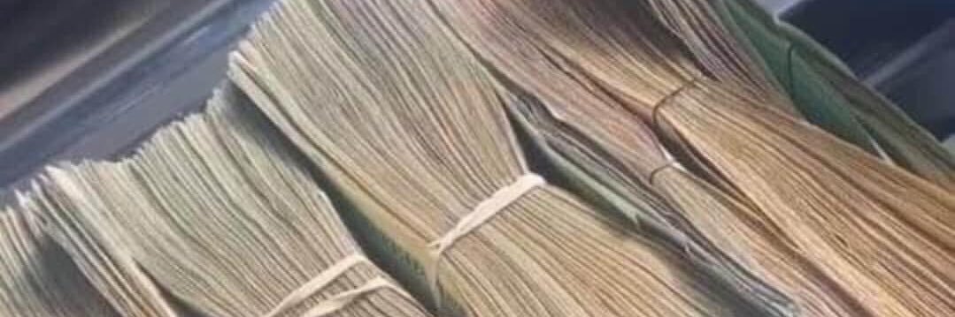 ncxtdoor__'s profile banner image