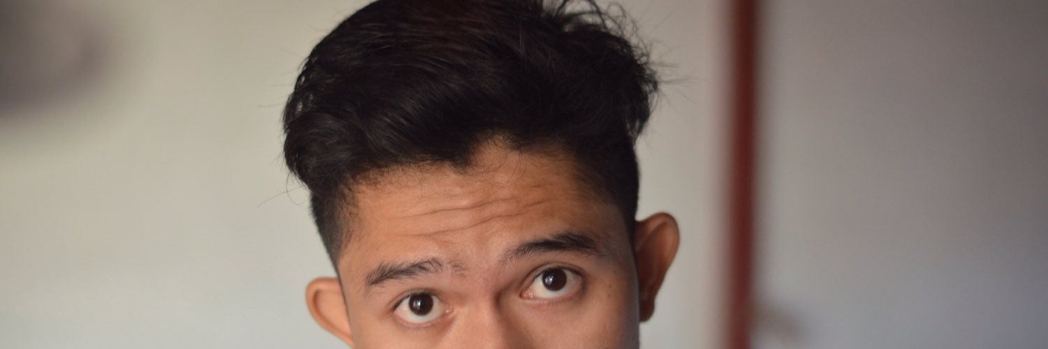 RinoCules's profile banner image
