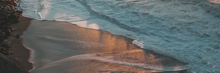 coleenmiranda's profile banner image