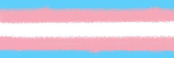 amytransxo's profile banner image