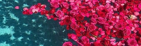 Phebblesg's profile banner image