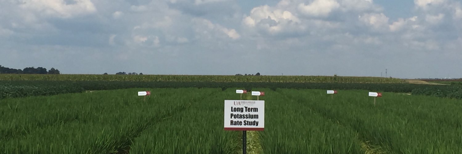 Nathan Slaton banner