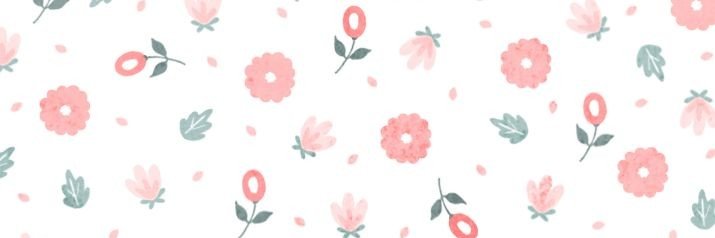 softfaly's profile banner image