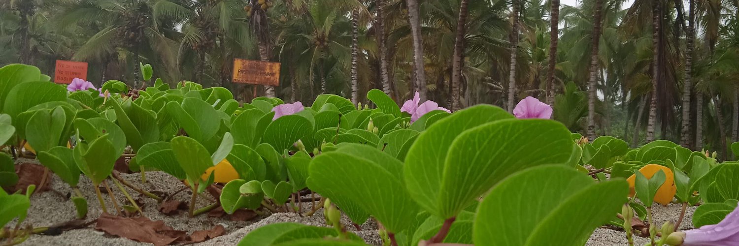 8Angieepp's profile banner image