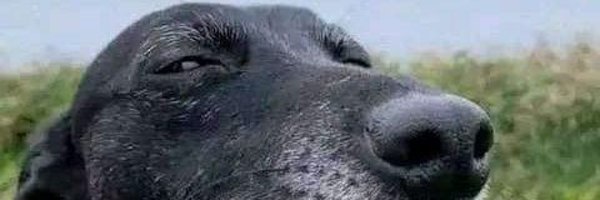 logics_onlyy Profile Banner