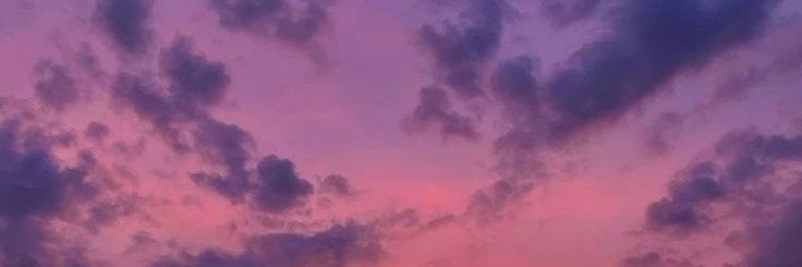 SolMikasa1903's profile banner image