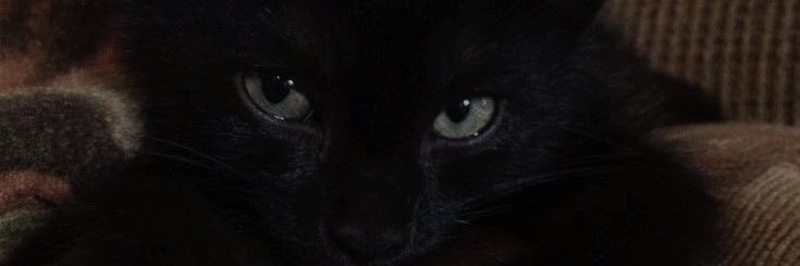 rielzinhow's profile banner image