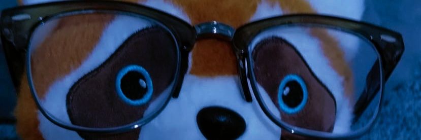W-aRY banner