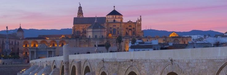 Carraquismo🤍💚 banner