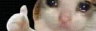 AmyMBee1's profile banner image