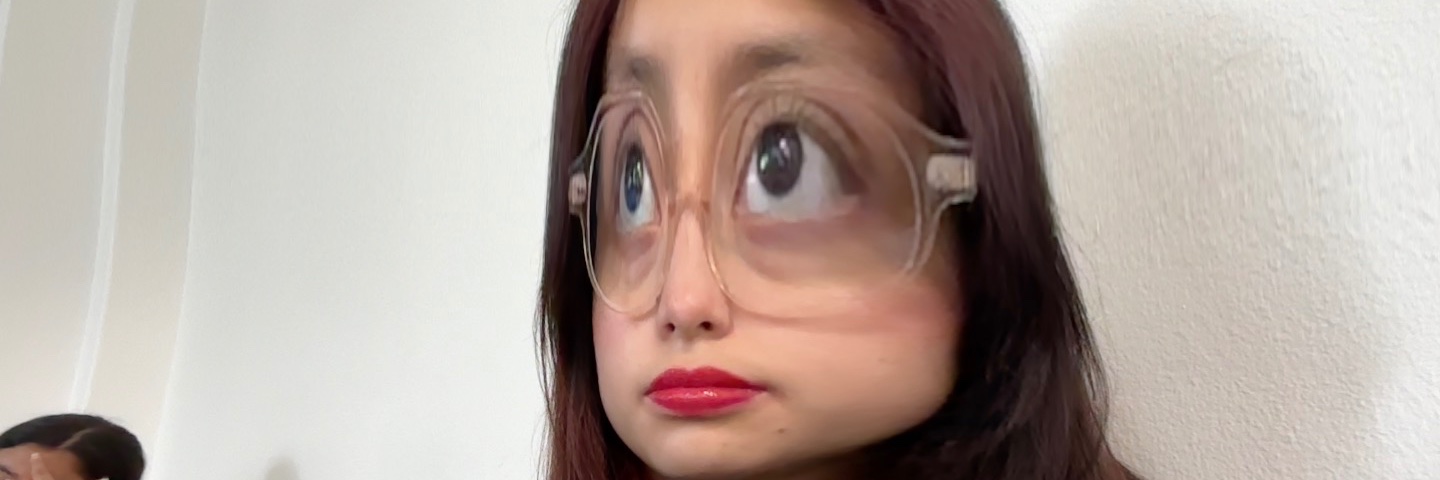 chuchasaurio's profile banner image