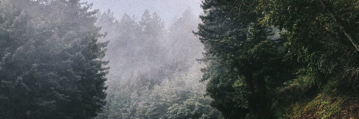 michberi's profile banner image