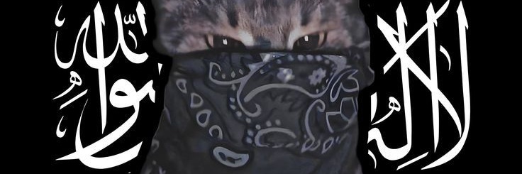 TheHalalCatto's profile banner image