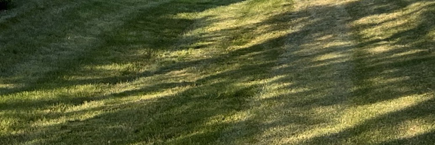 dawson🕊️ banner