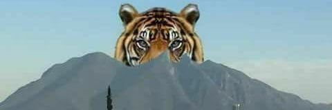 Trevyz16's profile banner image