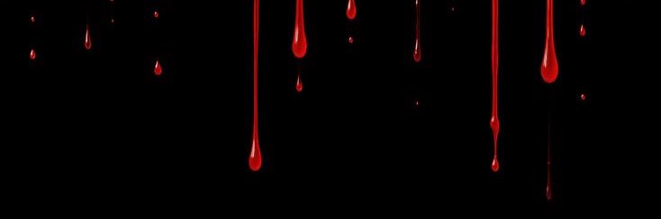 Vampires de Bourbon banner