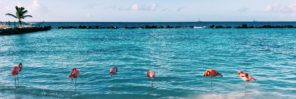 allisonmiller_'s profile banner image