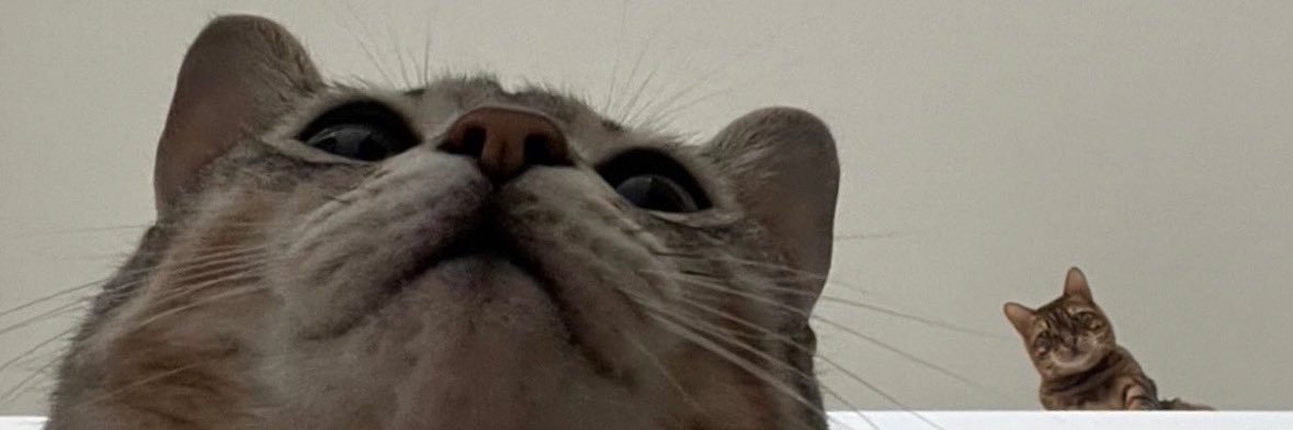 raiyul_'s profile banner image