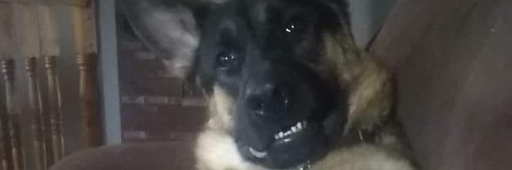 ReneeMJ's profile banner image