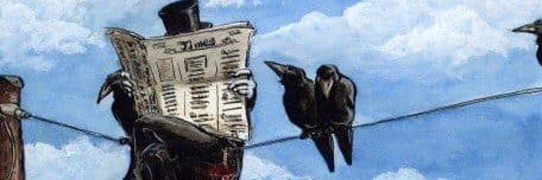 @anon_☕️🐈🏛 📖 banner