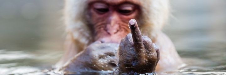 🏴󠁧󠁢󠁳󠁣󠁴󠁿Fingal🏴󠁧󠁢󠁳󠁣󠁴󠁿 banner