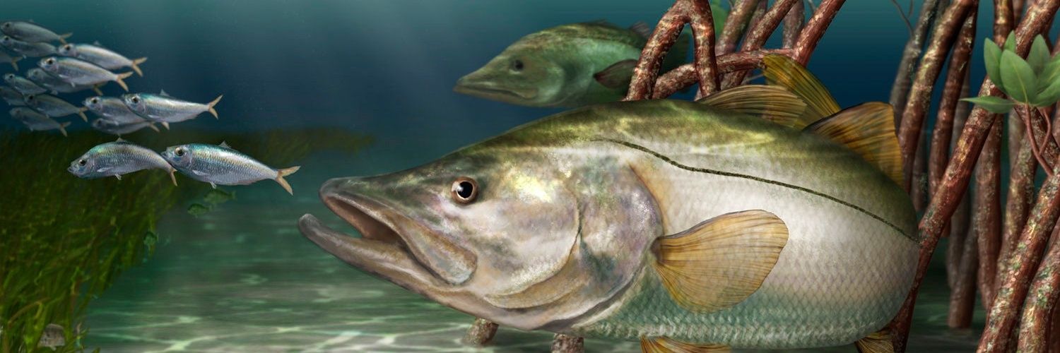 FishOn_J's profile banner image