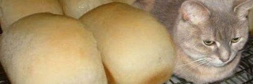 Nutribullitman's profile banner image