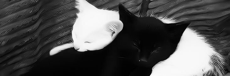 𝒩𝒶𝓏𝓇𝒾𝓃 banner