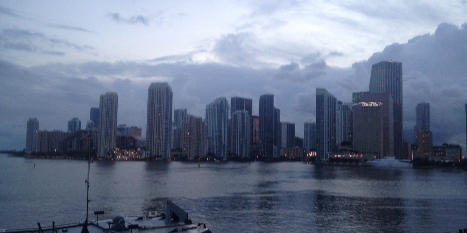 Laura I Maydón banner