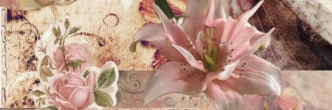 kissmeimblonde banner