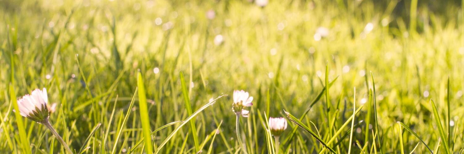 Hilde Skjølberg banner