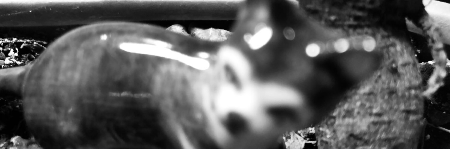 AlphaStronggah's profile banner image