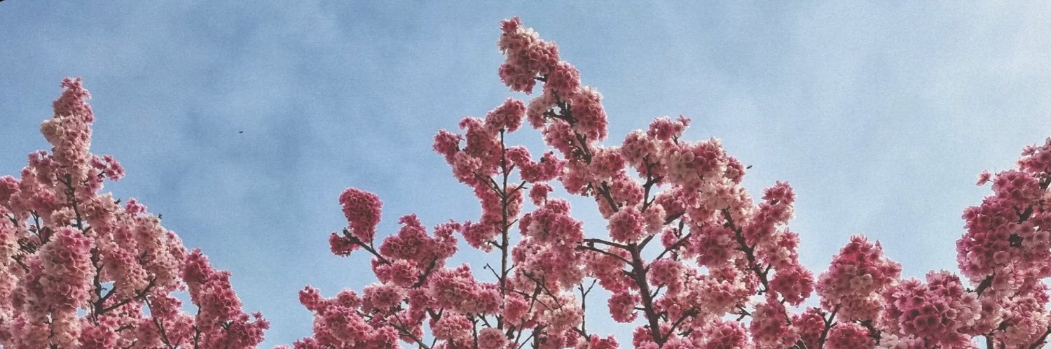 JC_Acunia's profile banner image