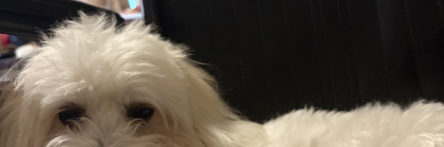 studelark1's profile banner image