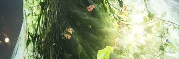Nayade2801 Profile Banner