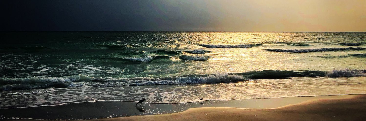 amyw618's profile banner image