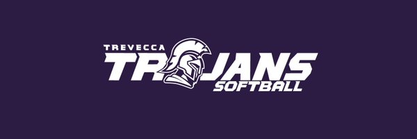 TNUsoftball Profile Banner