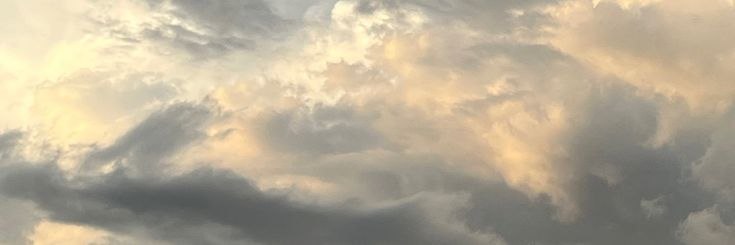 ddenxi's profile banner image