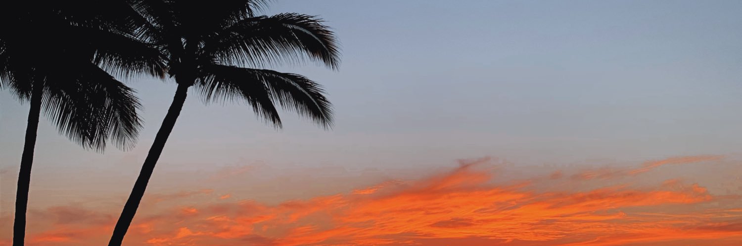 allybadger's profile banner image