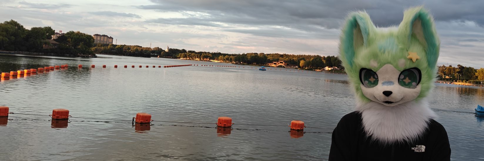 香菜不是菜 banner