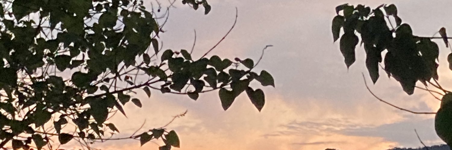 cattadd's profile banner image