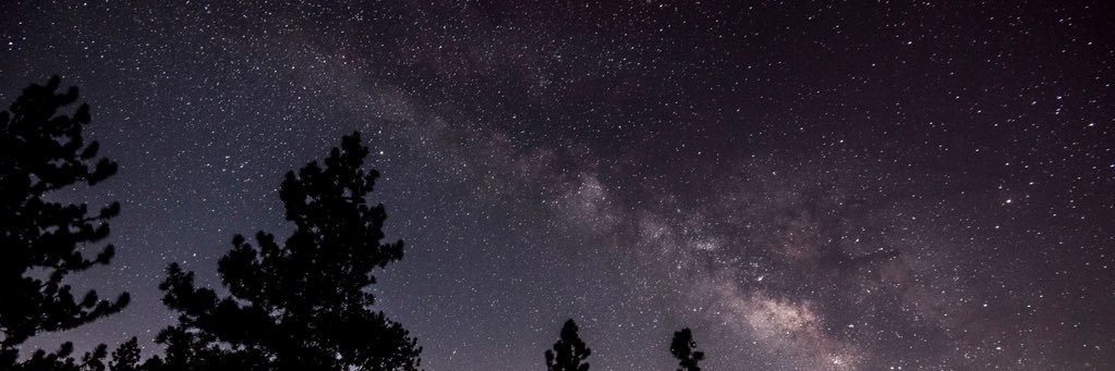 WhiteOwlHoo's profile banner image