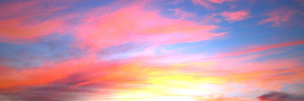 wertpldzc's profile banner image