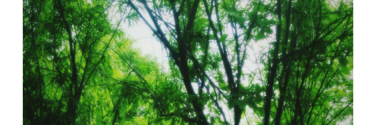 allthingsbekah's profile banner image