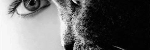 Kleber_Letras's profile banner image